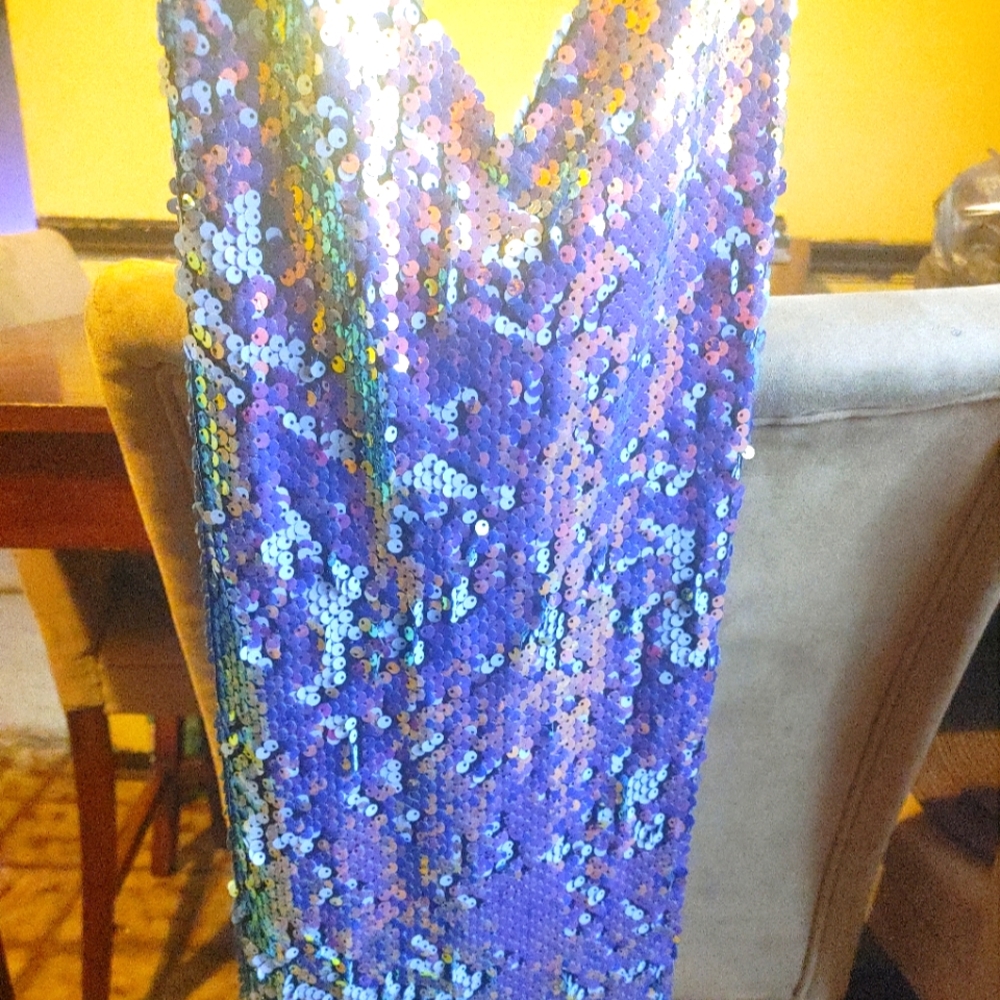 Fancy Sequin Dress
